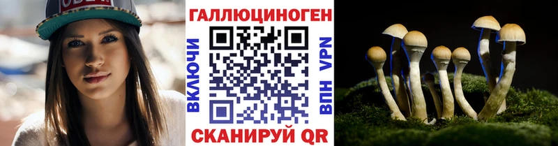 даркнет телеграм  Когалым  Псилоцибиновые грибы ЛСД 